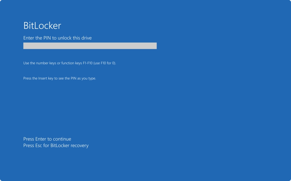 Giao diện BitLocker trên Windows